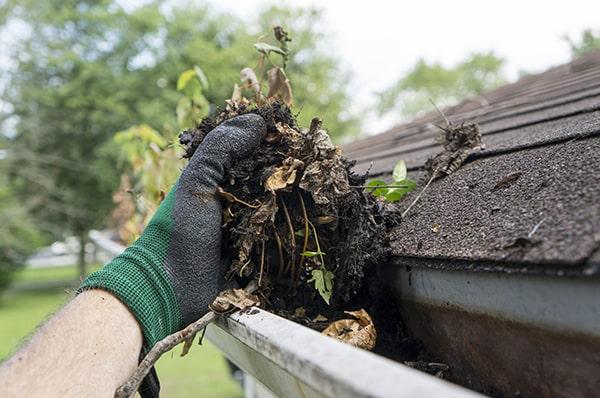 gutter cleaning can help prevent foundation and landscape damage by preventing water overflow